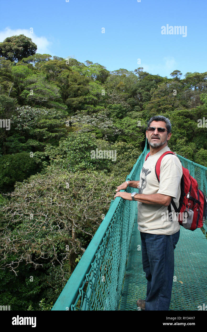 Costa Rican Guide On The Canopy Walkway, Monteverde Cloud Forest Stock Photo