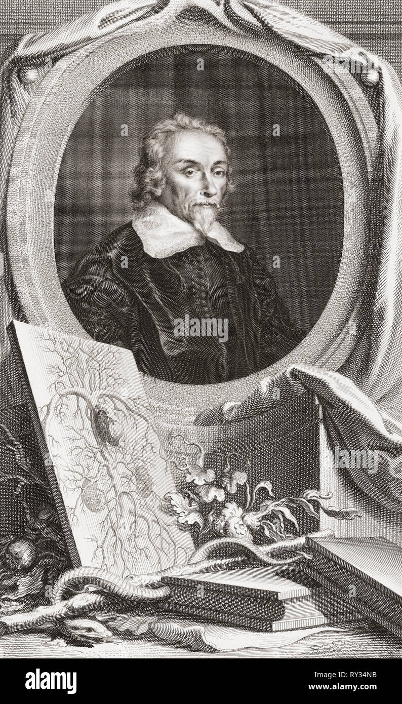 William Harvey, 1578 – 1657.  English physician.  First to describe blood circulatory system.  From the 1813 edition of The Heads of Illustrious Persons of Great Britain, Engraved by Mr. Houbraken and Mr. Vertue With Their Lives and Characters. Stock Photo