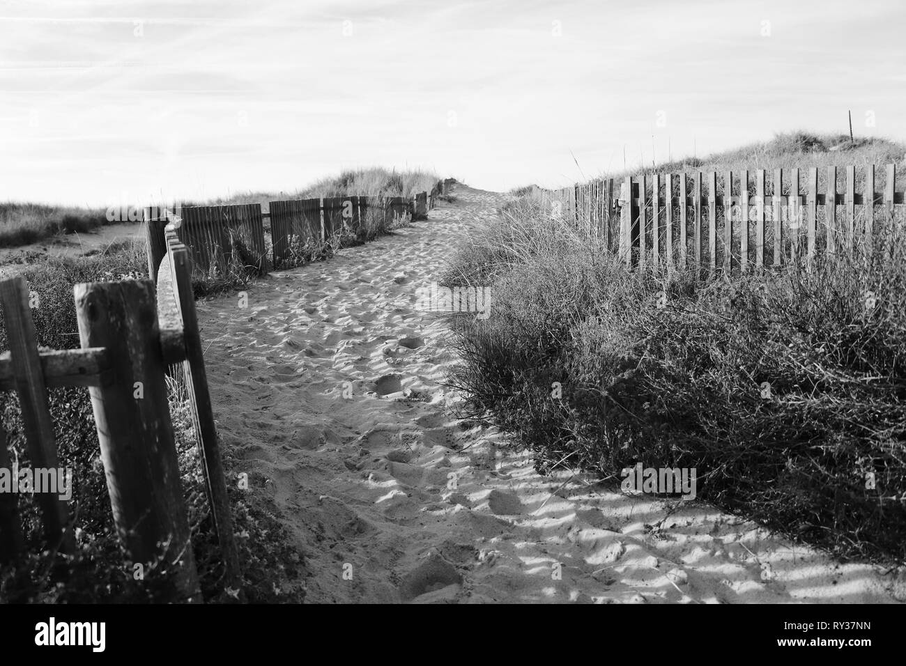 Path to the beach through the dunes surrounded by a wood fence Stock Photo