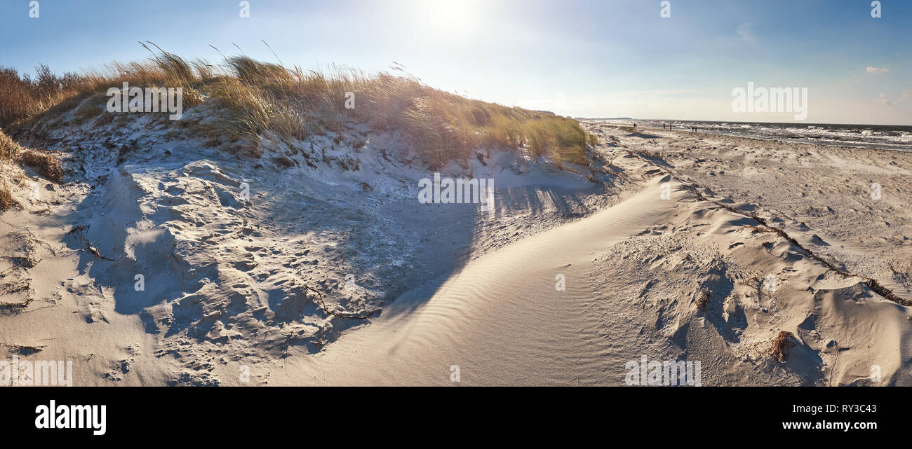 Windy beach in Hiddensee island on the Baltic coast of Northern Germany out of season Stock Photo