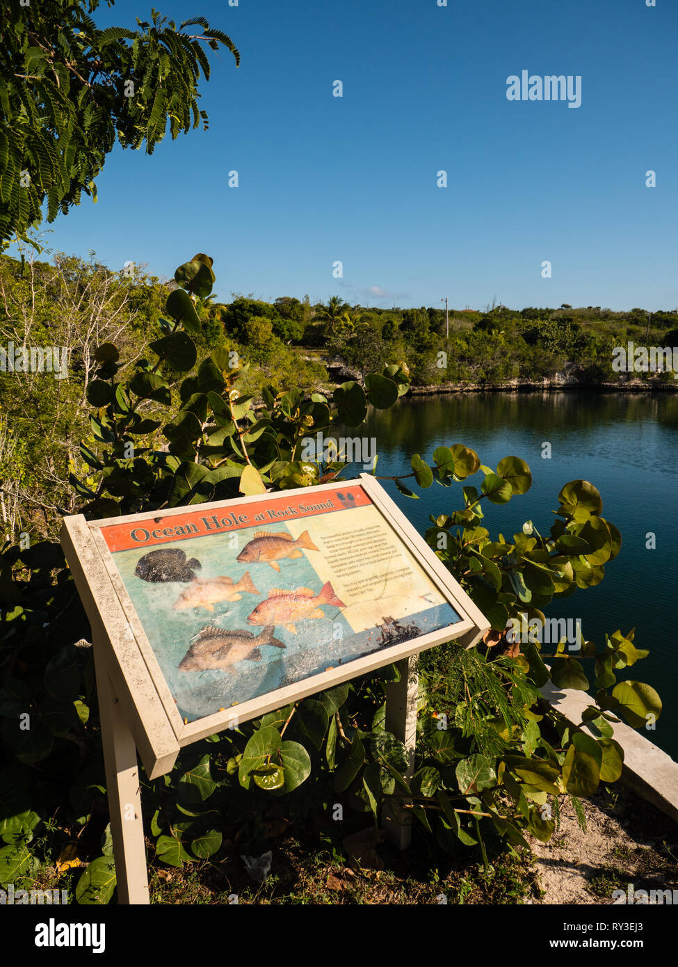 Ocean Hole, Rock Sound, The Bahamas, Eleuthera, The Bahamas, The