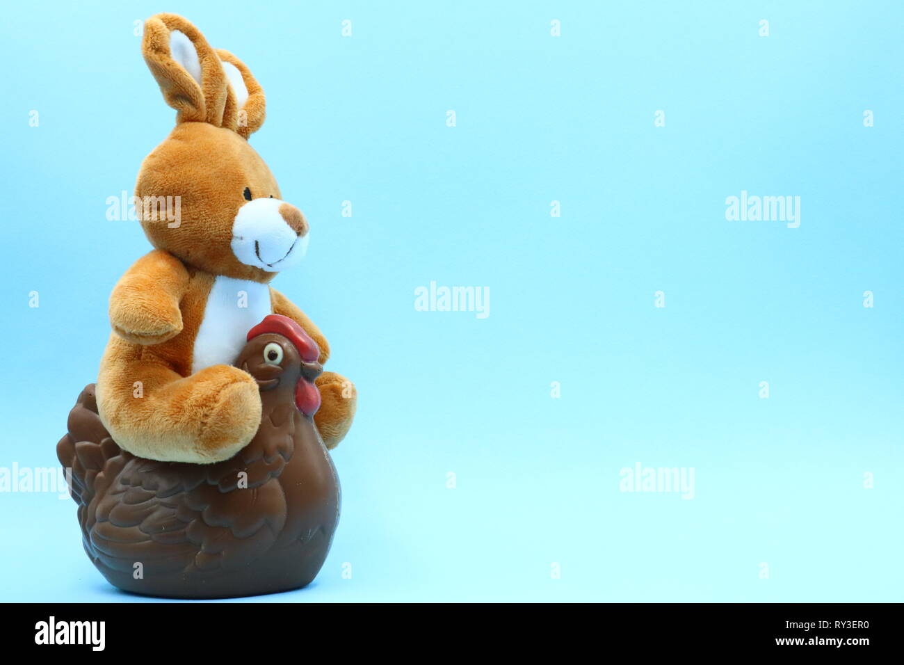 hen teddy