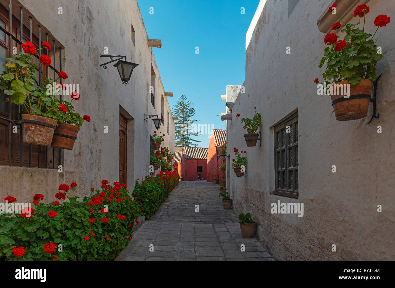 An alley with red geranium flowers inside the Santa Catalina Convent, famous for its cloister nuns, in the city center of Arequipa, Peru. Stock Photo