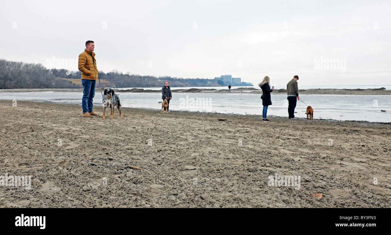 Clevelanders with their dogs on Edgewater Beach in Cleveland, Ohio, USA on a crisp winter day view the icy Lake Erie shoreline Stock Photo