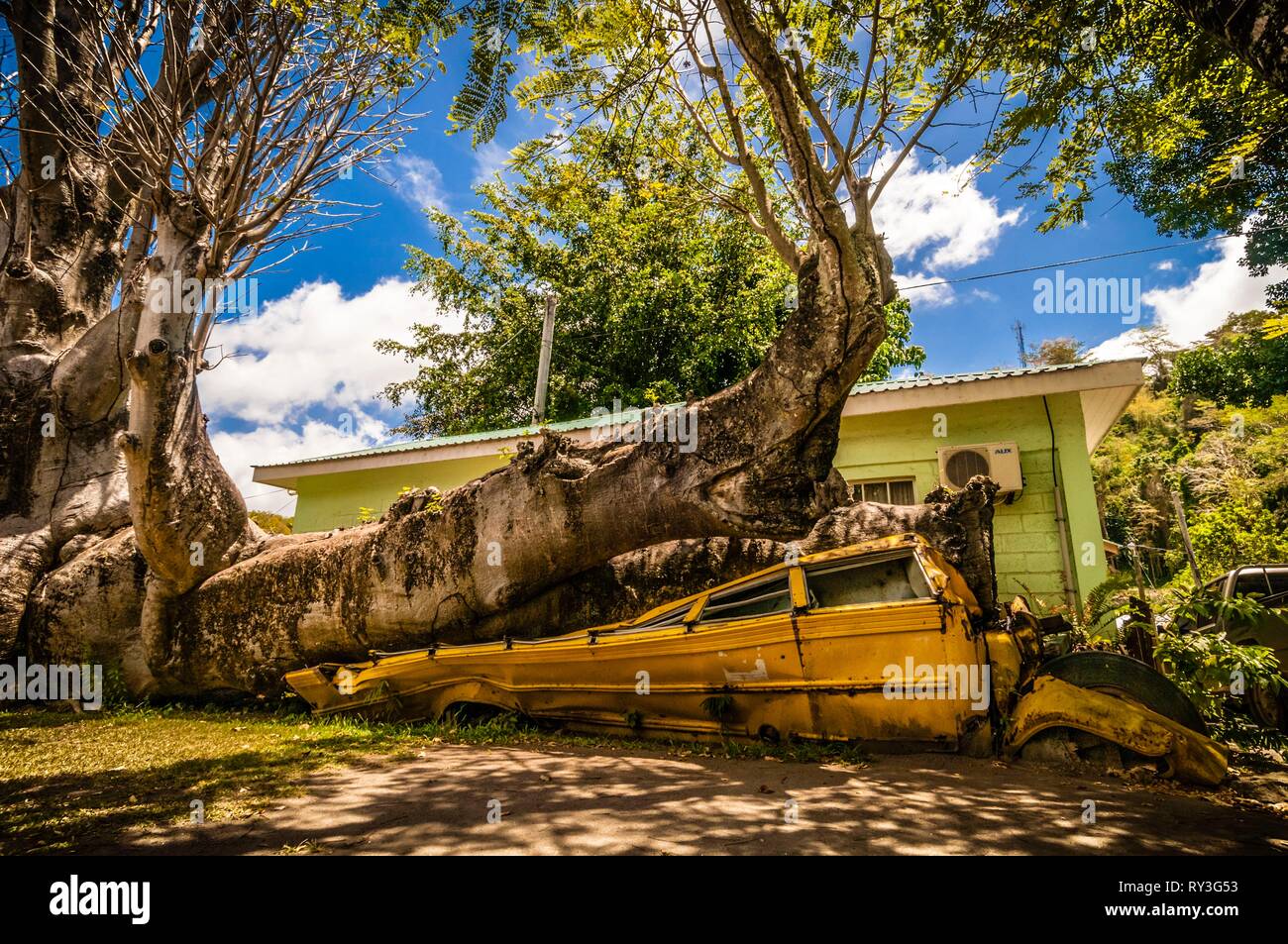 Central America, Caribbean, Lesser Antilles, Dominica, capital Roseau