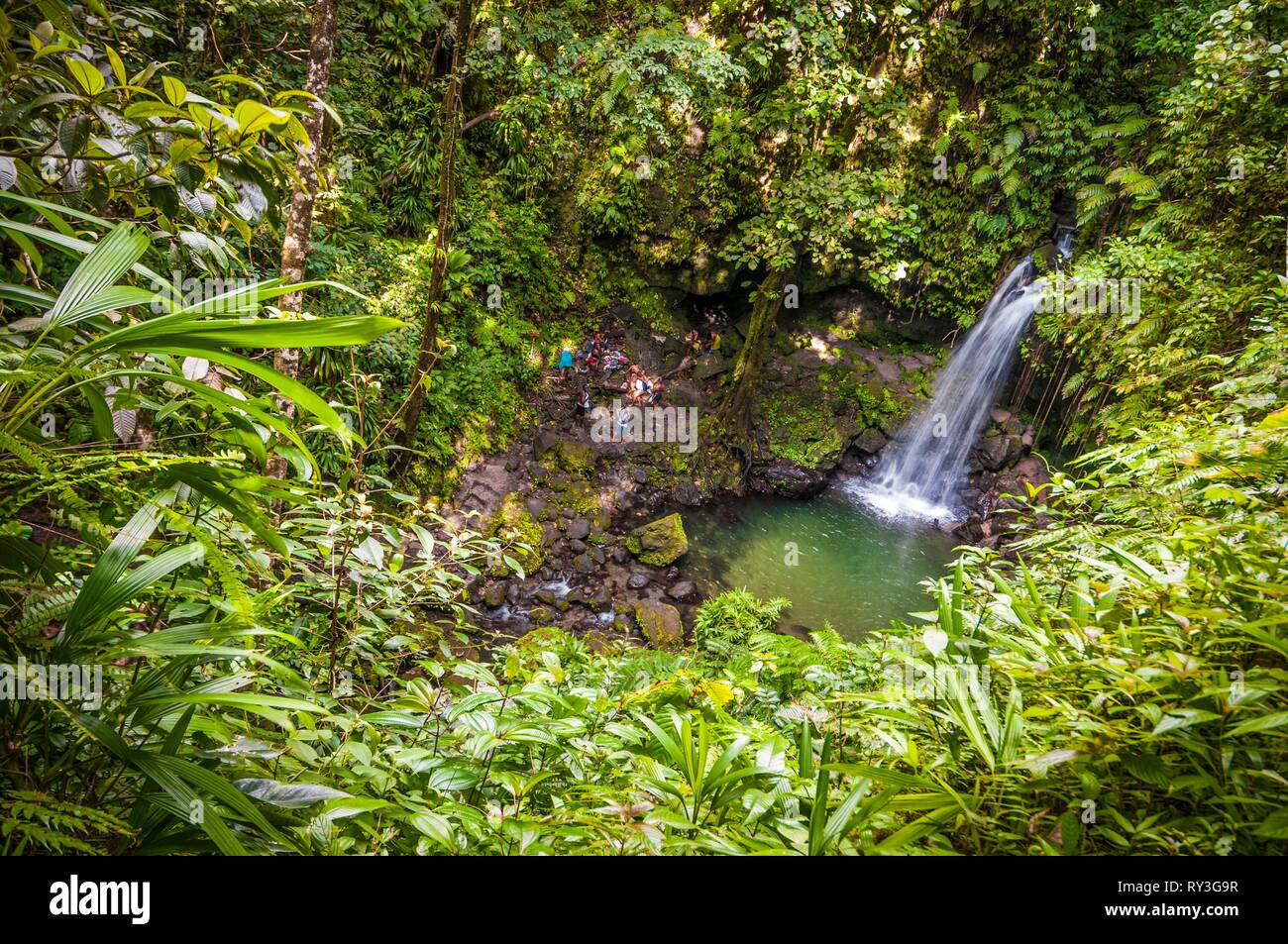 Dominica, Castle Bruce, Morne Trois Pitons National Park inscribed on the World Heritage List by UNESCO, in the tropical undergrowth, view from above on the Emerald Pool and its waterfall Stock Photo