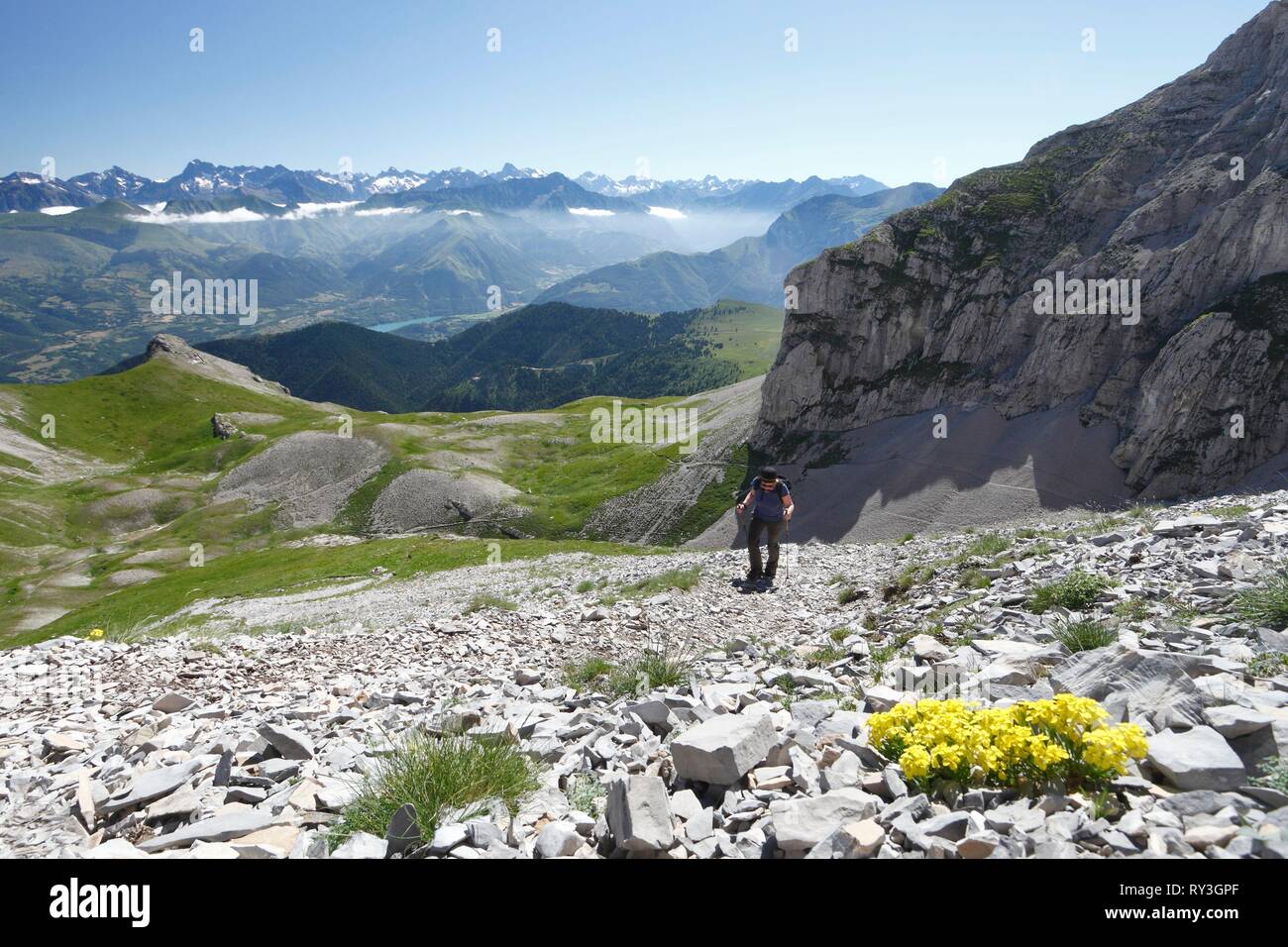 Range of flower types hi-res stock photography and images - Alamy