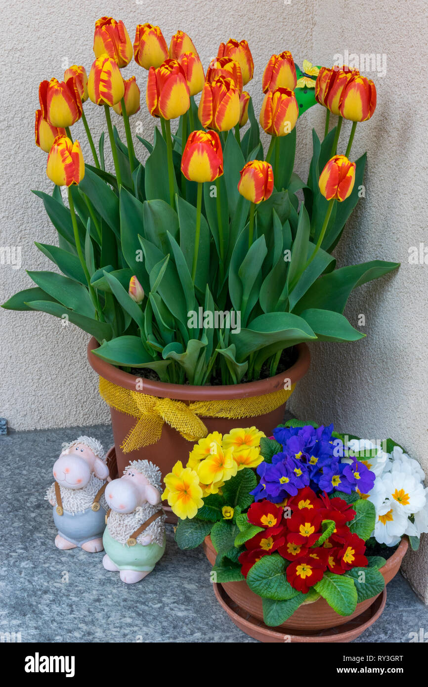 Doorstep flowers hires stock photography and images Alamy