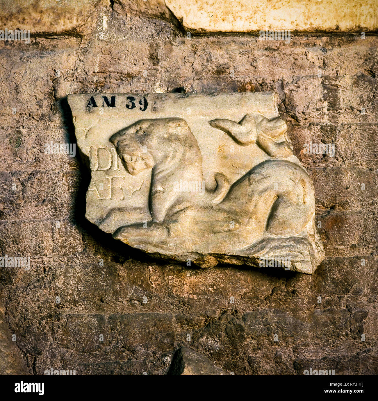 Italy Lazio Rome Roman archeology - Rome underground -  Ipogeum of Via Mecenate Stock Photo