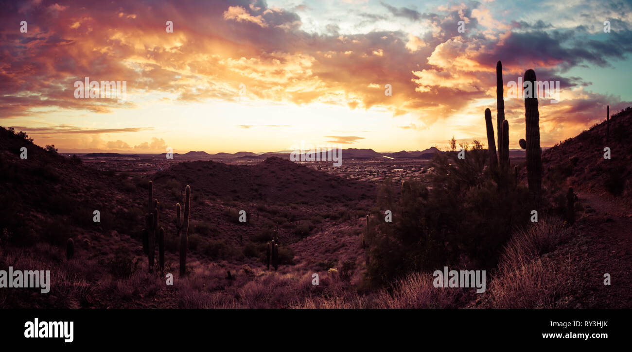 Sonoran desert sunset panorama hi-res stock photography and images - Alamy
