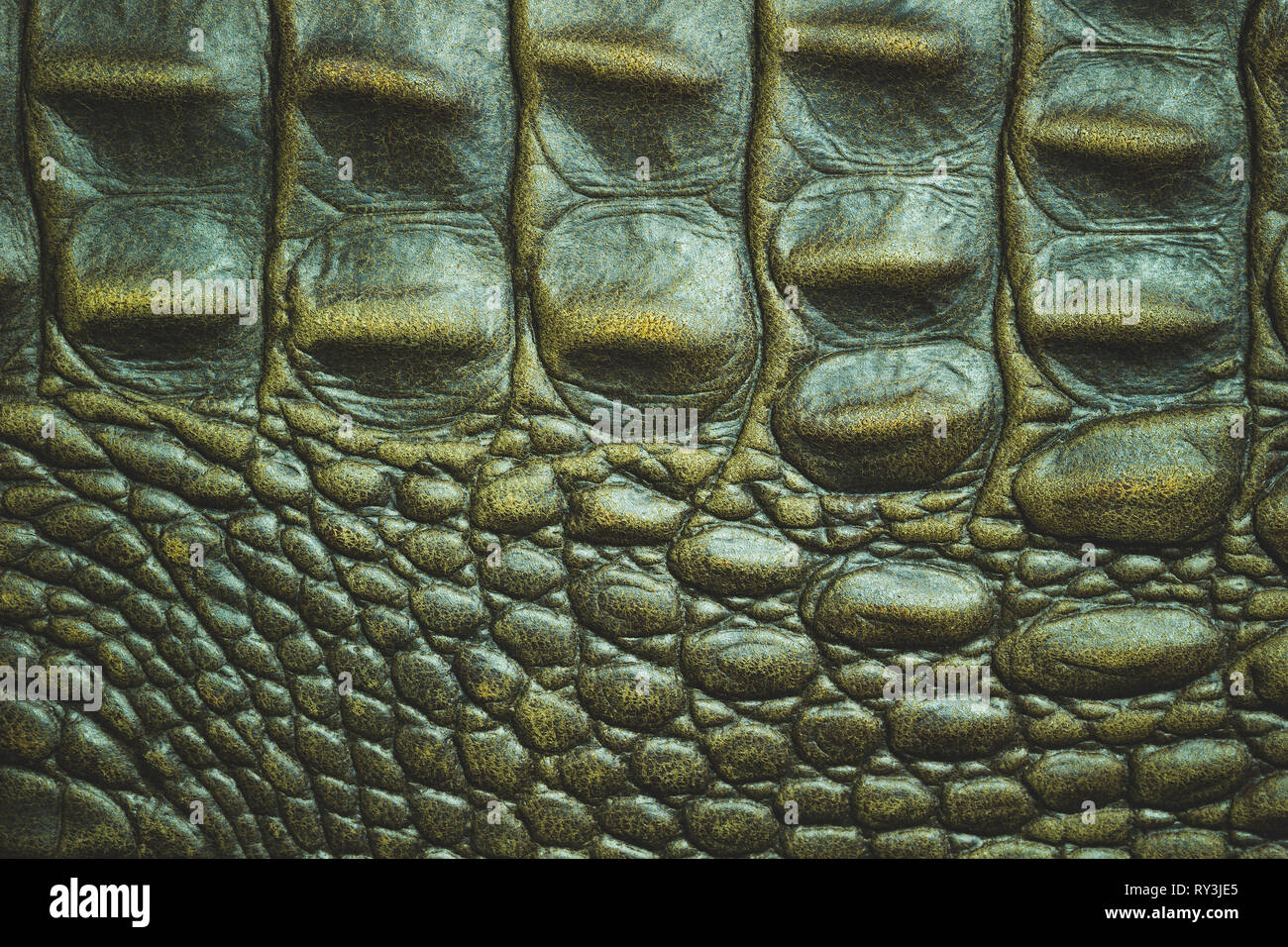 Red Crocodile Skin Texture Stock Photo, Picture and Royalty Free Image.  Image 18853946.