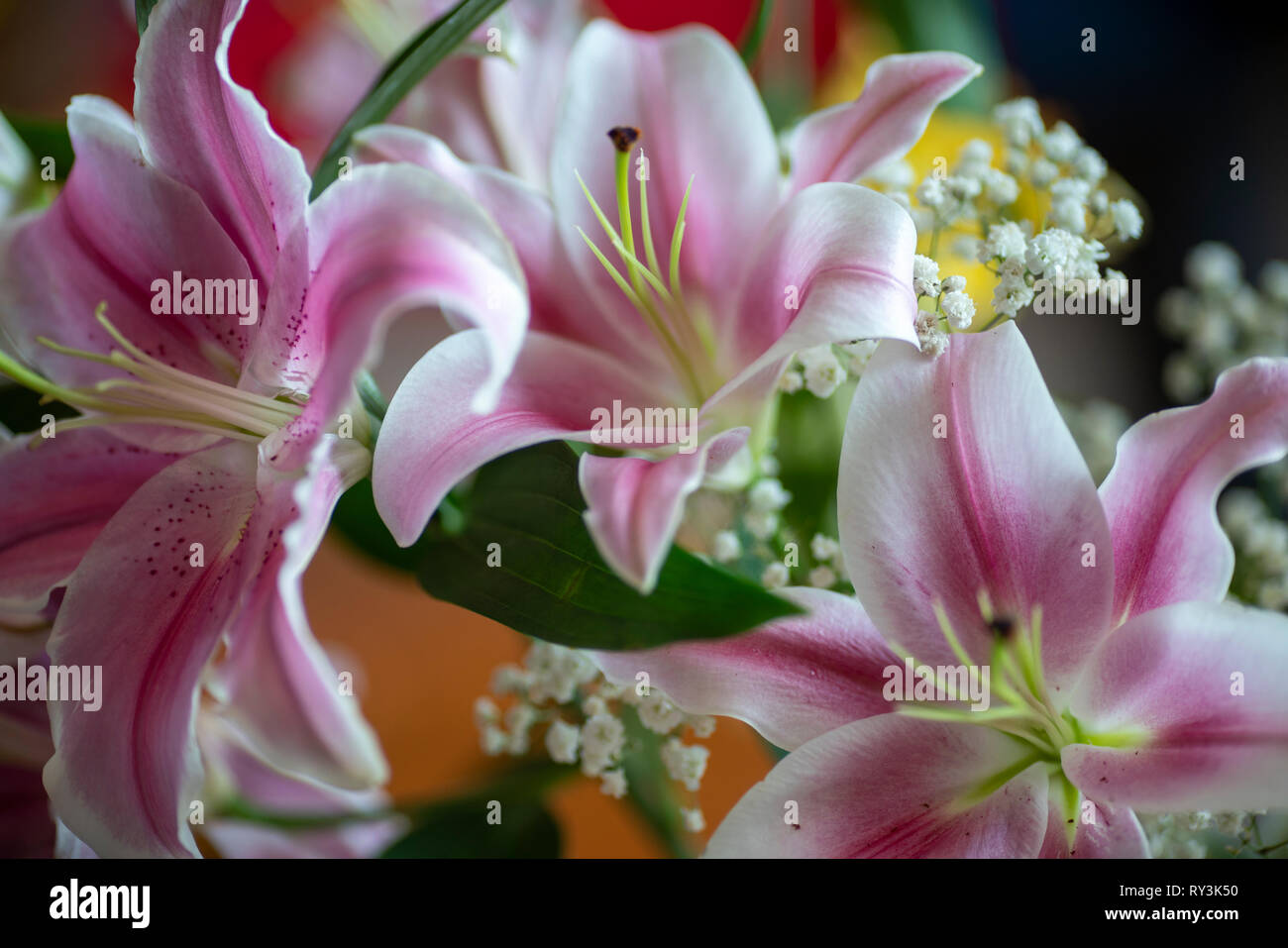 Flower Offering. Stock Photo