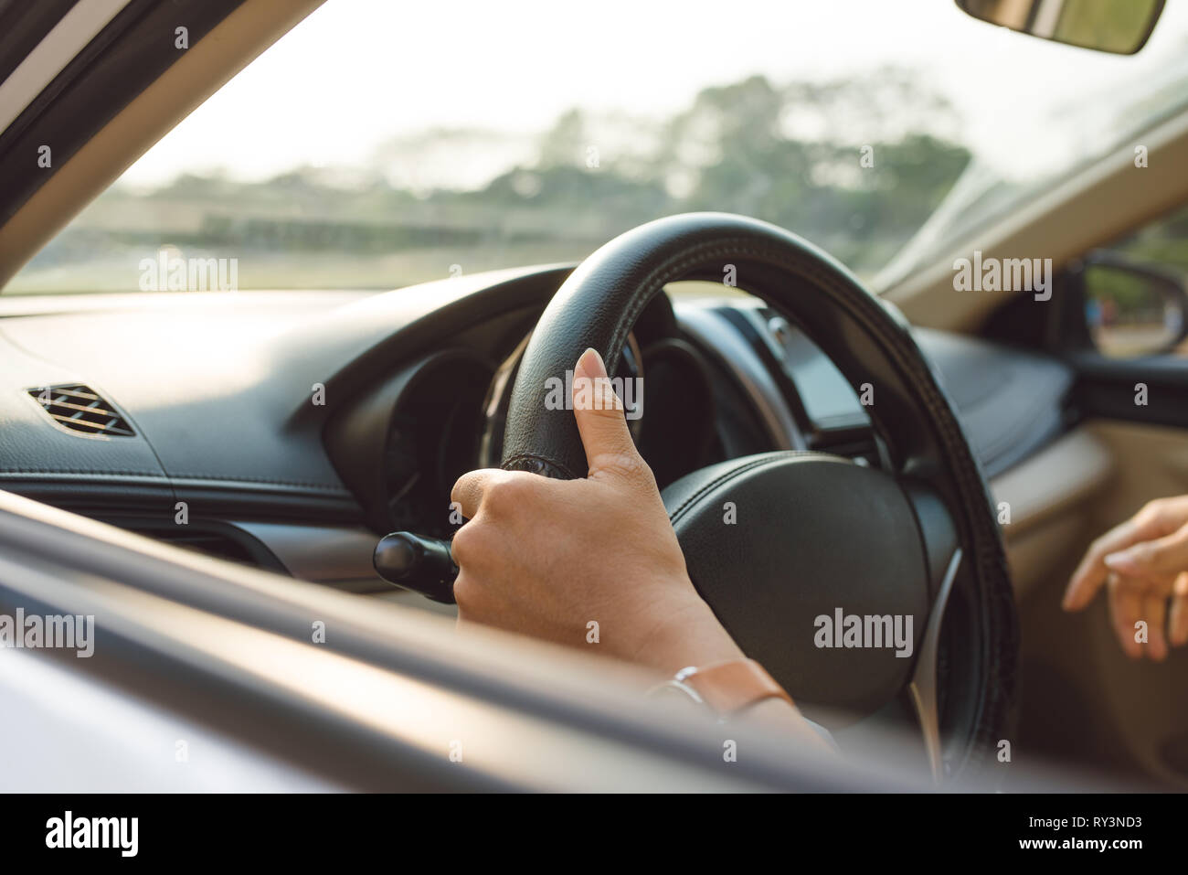 male hands on steering wheel on the right with country side view Stock Photo Alamy