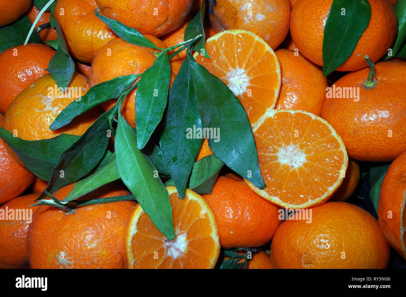 Tangerine on sale closeup Stock Photo Alamy