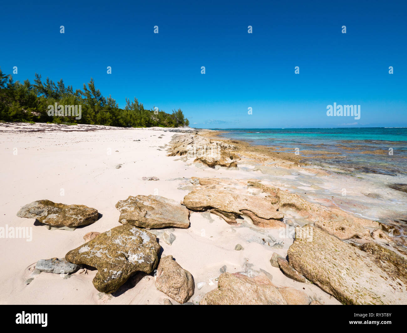 Coral, White Road Beach, Remote Tropical Beach, Rock Sound, Eleuthera