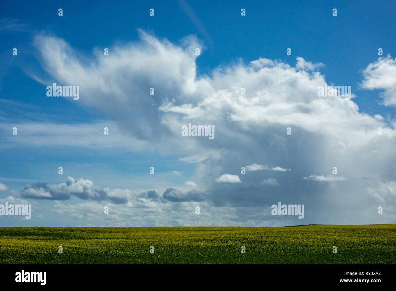 Sunny blue sky with some clouds in California Stock Photo