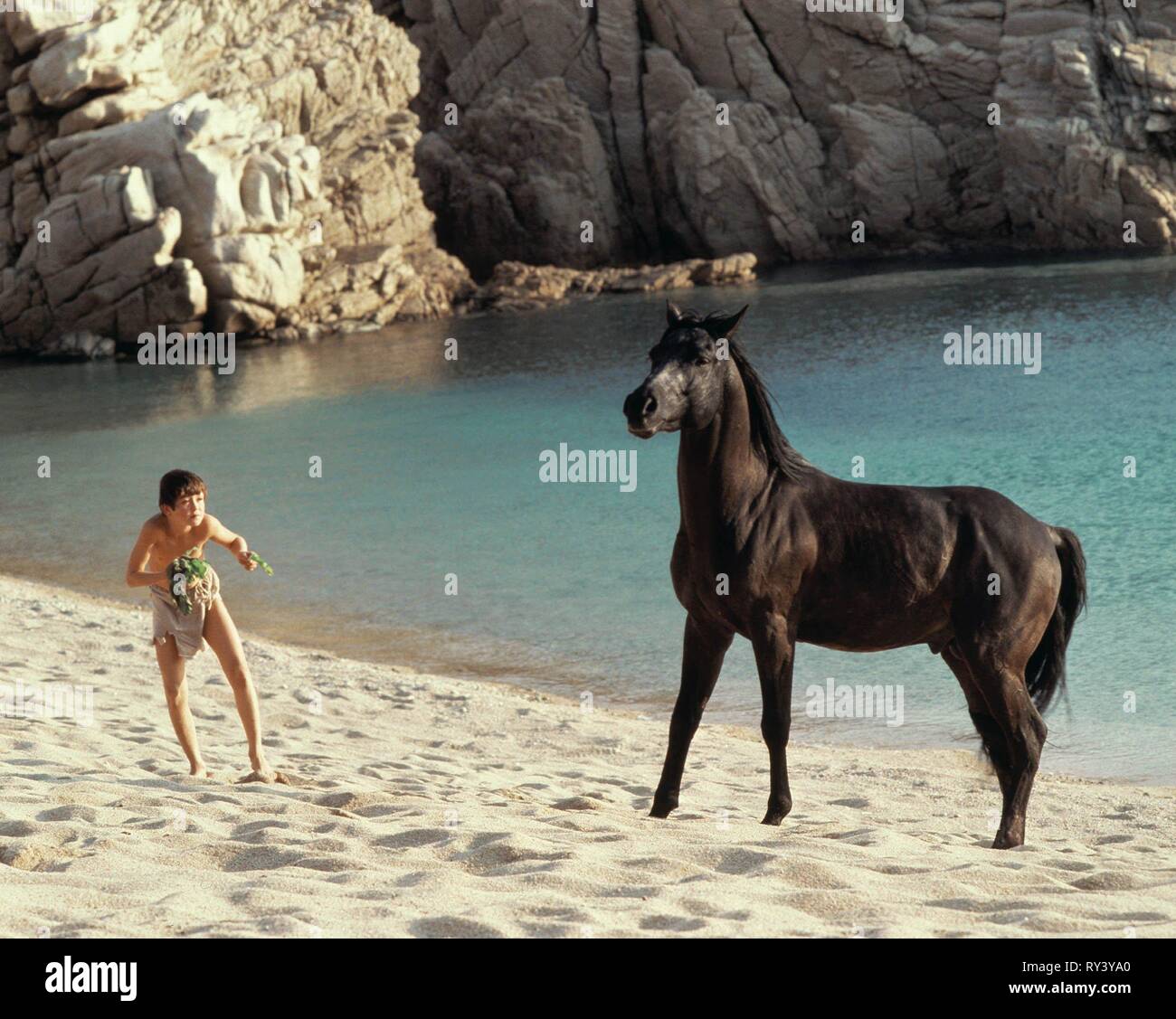 KELLY RENO, THE BLACK STALLION, 1979 Stock Photo