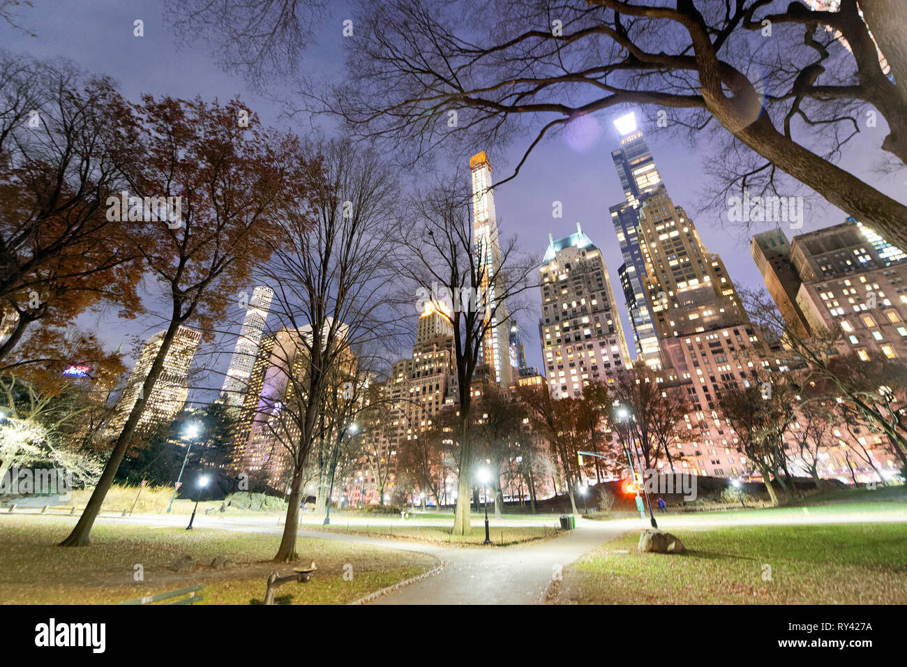 Night view of Central Park with trees and skyscrapers, New York City ...