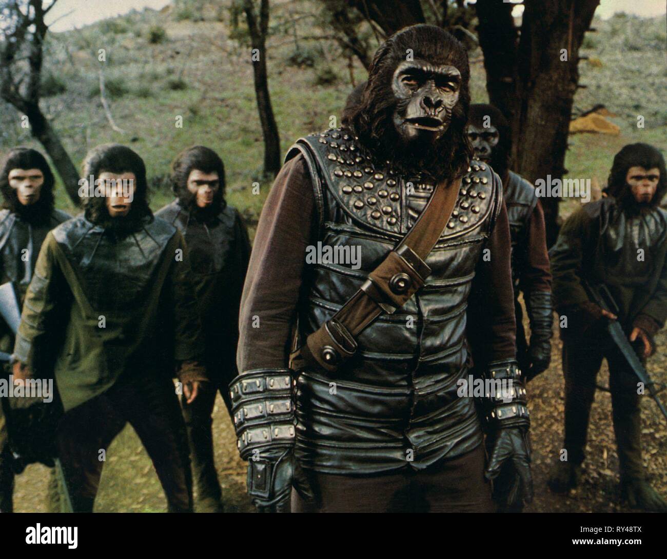 GENERAL APE SCENE, BATTLE FOR THE PLANET OF THE APES, 1973 Stock Photo