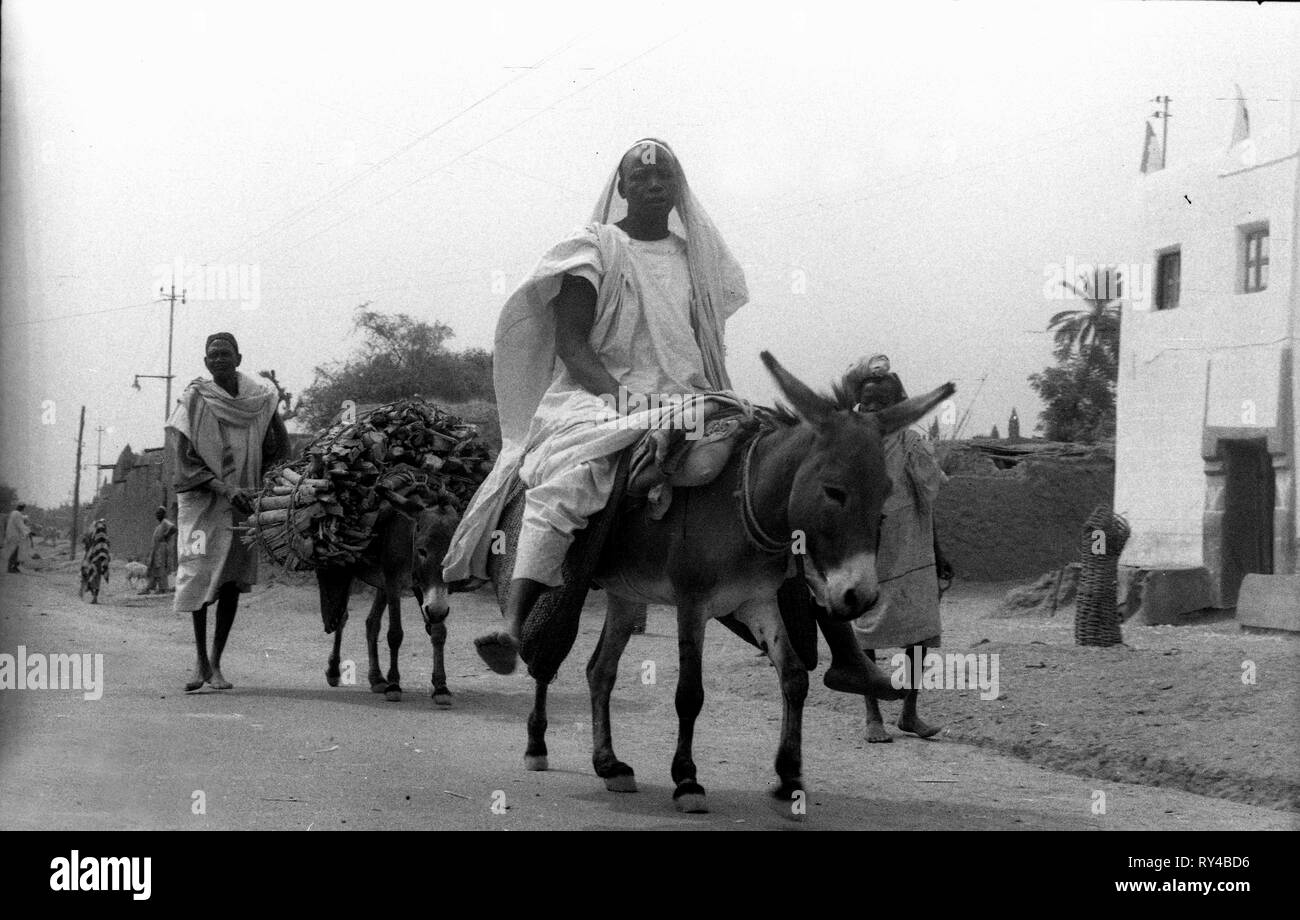 Men riding donkeys in Cameroon Africa 1959 Stock Photo