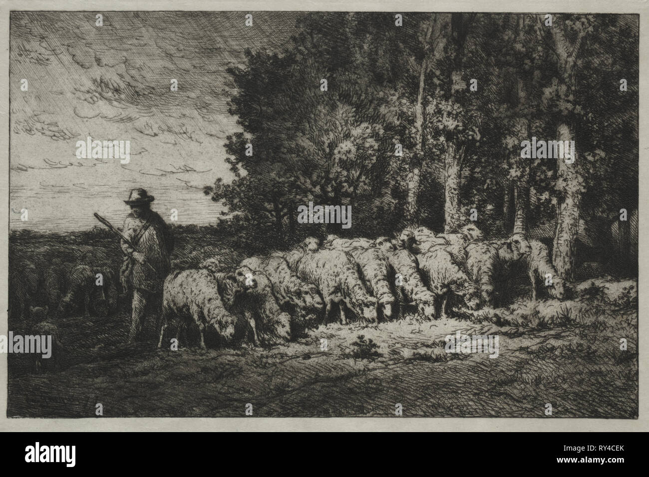 A Herd at the Edge of a Forest, 1880. Charles-Émile Jacque (French, 1813-1894). Etching and aquatint Stock Photo