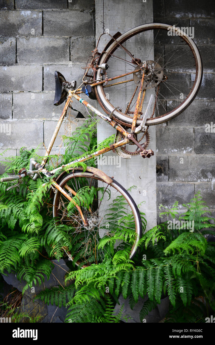 Old bike in house, Galicia, Spain Stock Photo