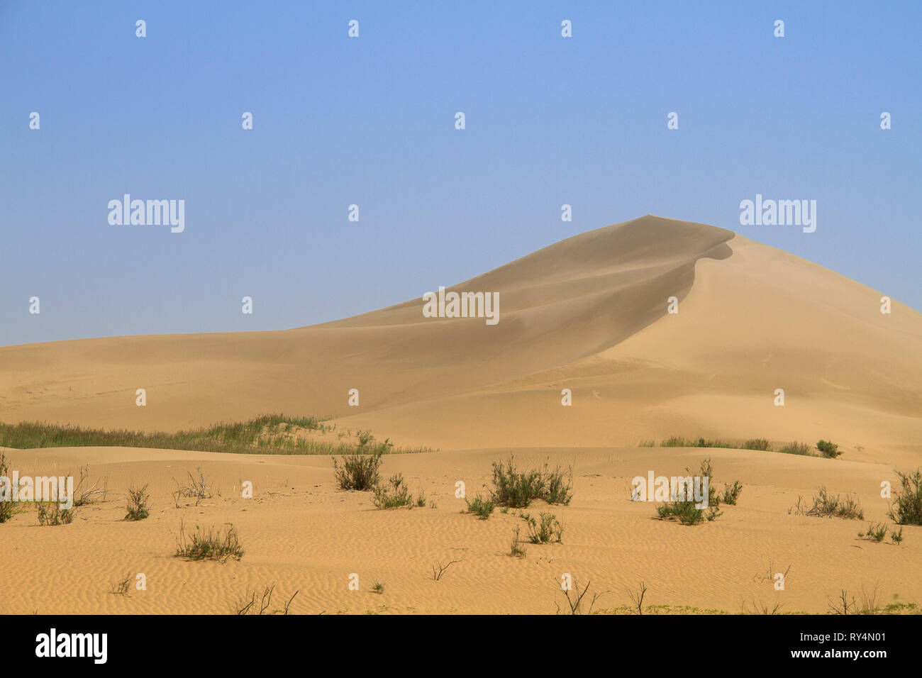 A sand dune in the Gobi Desert of Inner Mongolia, China, is shaped into ...