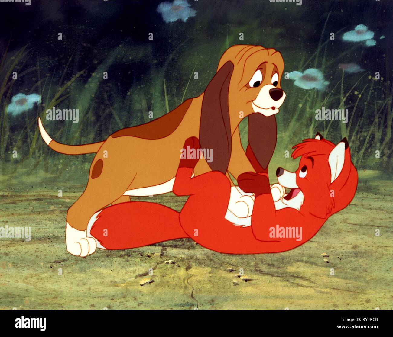 DOG,FOX, THE FOX AND THE HOUND, 1981 Stock Photo