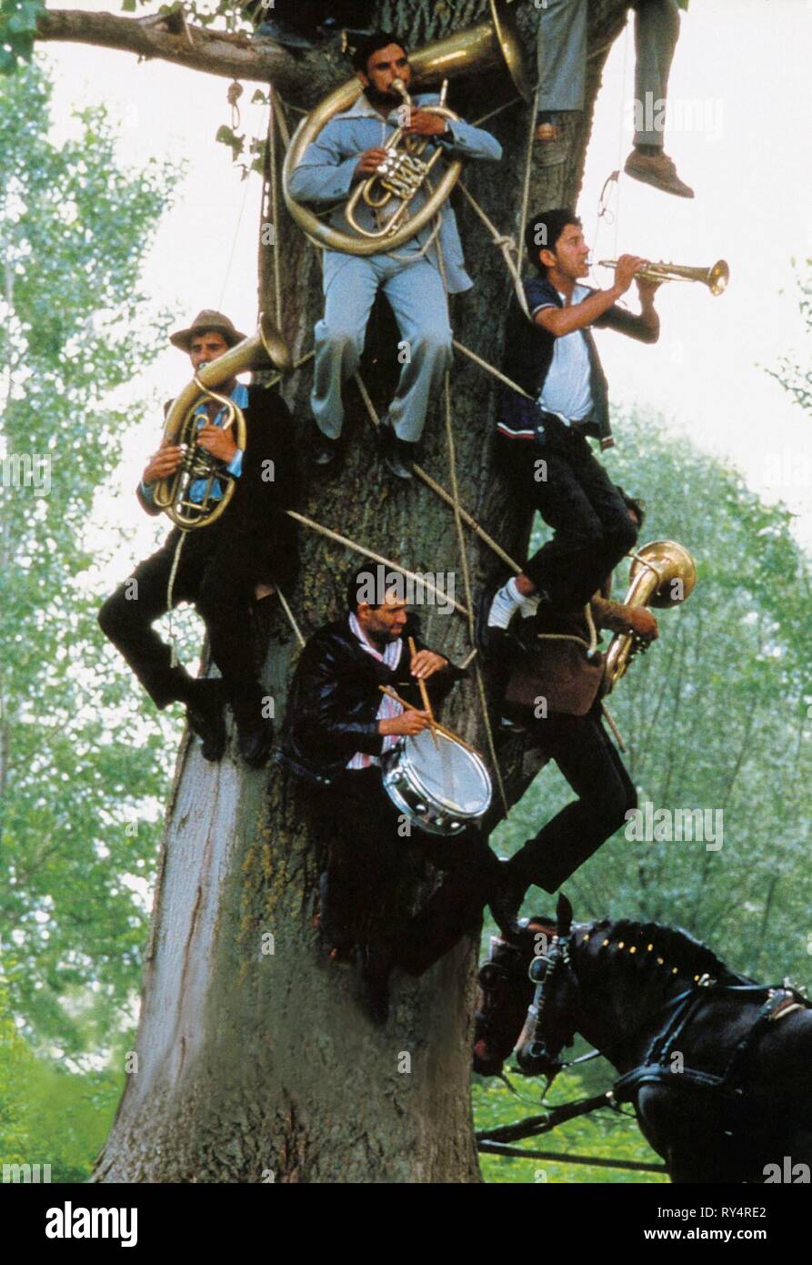 BAND IN TREE, TIME OF THE GYPSIES, 1988 Stock Photo