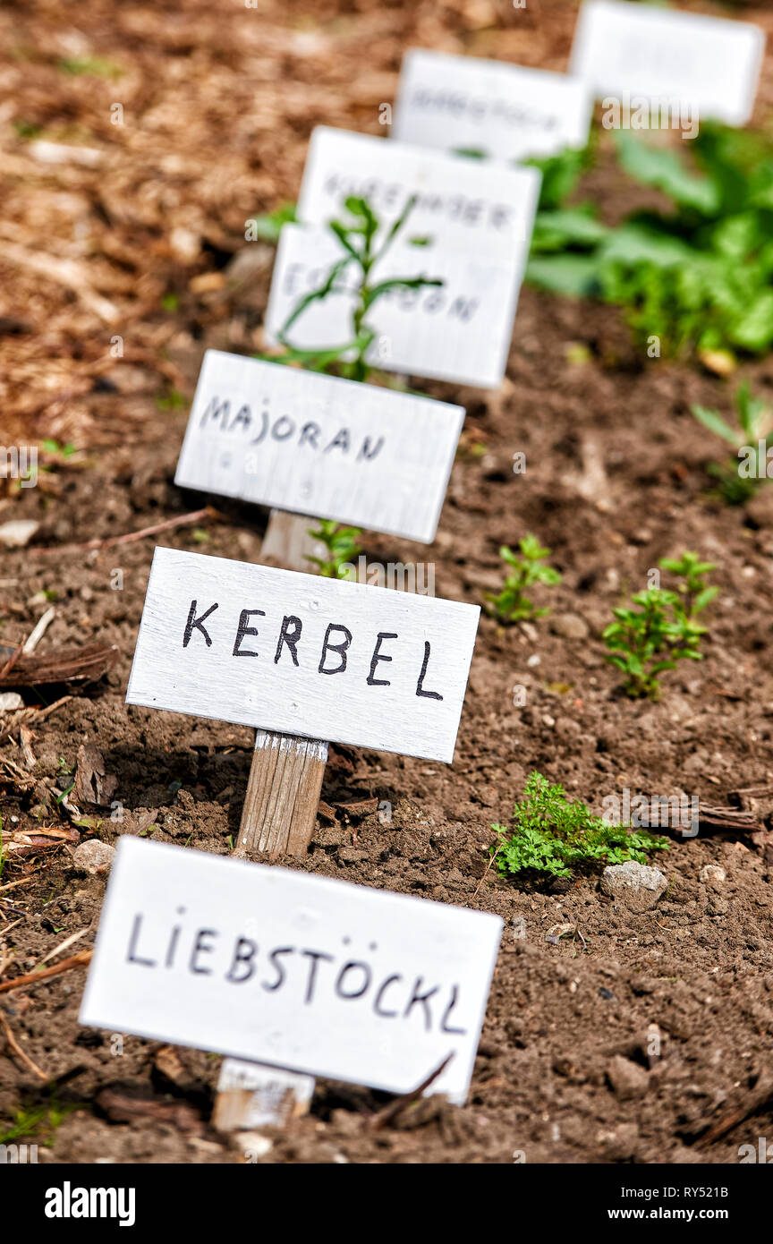 Ein Beet mit ausgewähten Kräutern und Hinweisschildern. Stock Photo