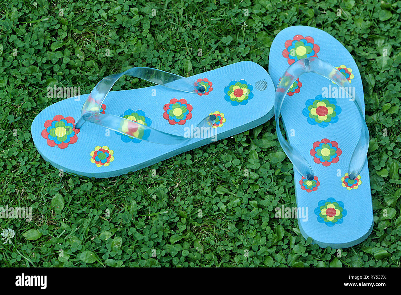 Blaue Flip Flops mit Bluemchenmuster auf guenem Rasen. Stock Photo