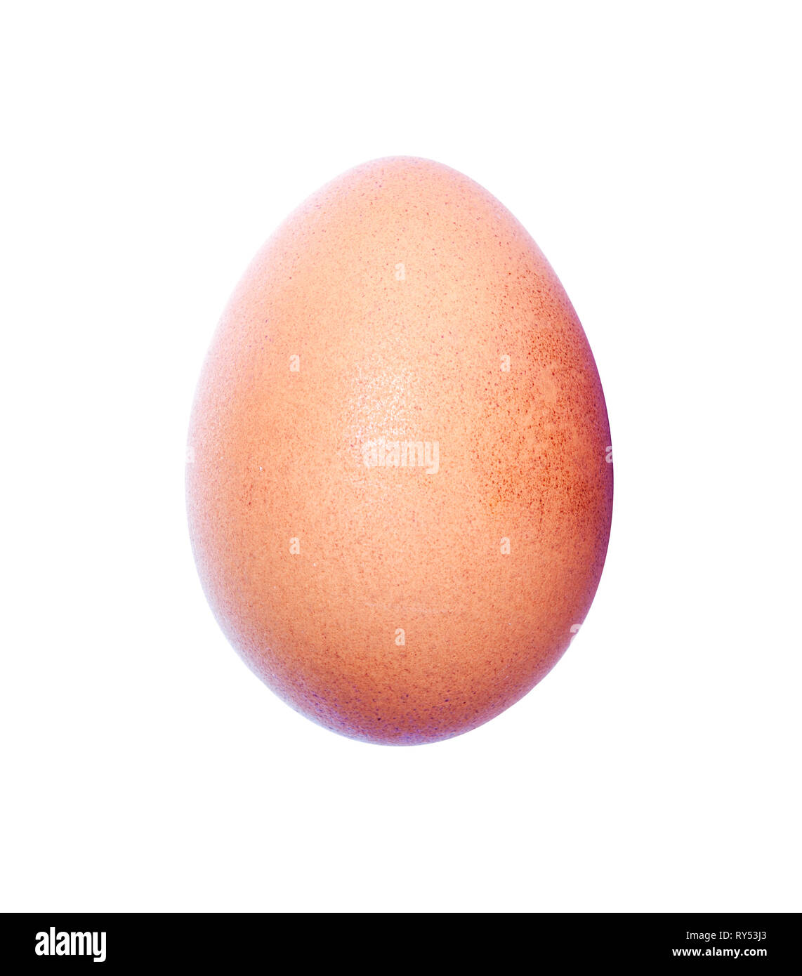 Brown chicken egg isolated on white background. Stock Photo