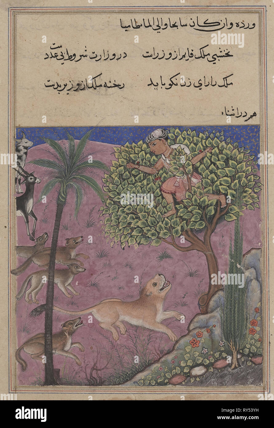 Page from Tales of a Parrot (Tuti-nama): Twenty-first night: The wolf and the jackal, serving as viziers, instigate the lion who pursues the Brahman up a tree, c. 1560. India, Mughal, Reign of Akbar, 16th century. Opaque watercolor, ink and gold on paper Stock Photo