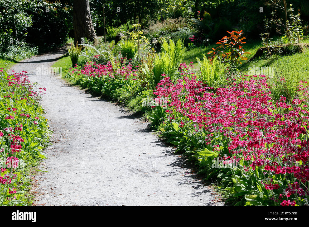 Gravel Path Garden High Resolution Stock Photography and Images Alamy