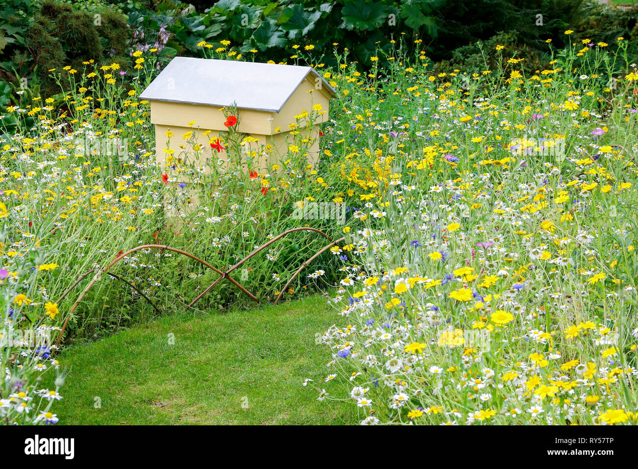 A bee hive set in a wildflower garden amongst yellow, purple, white and red flowers Stock Photo