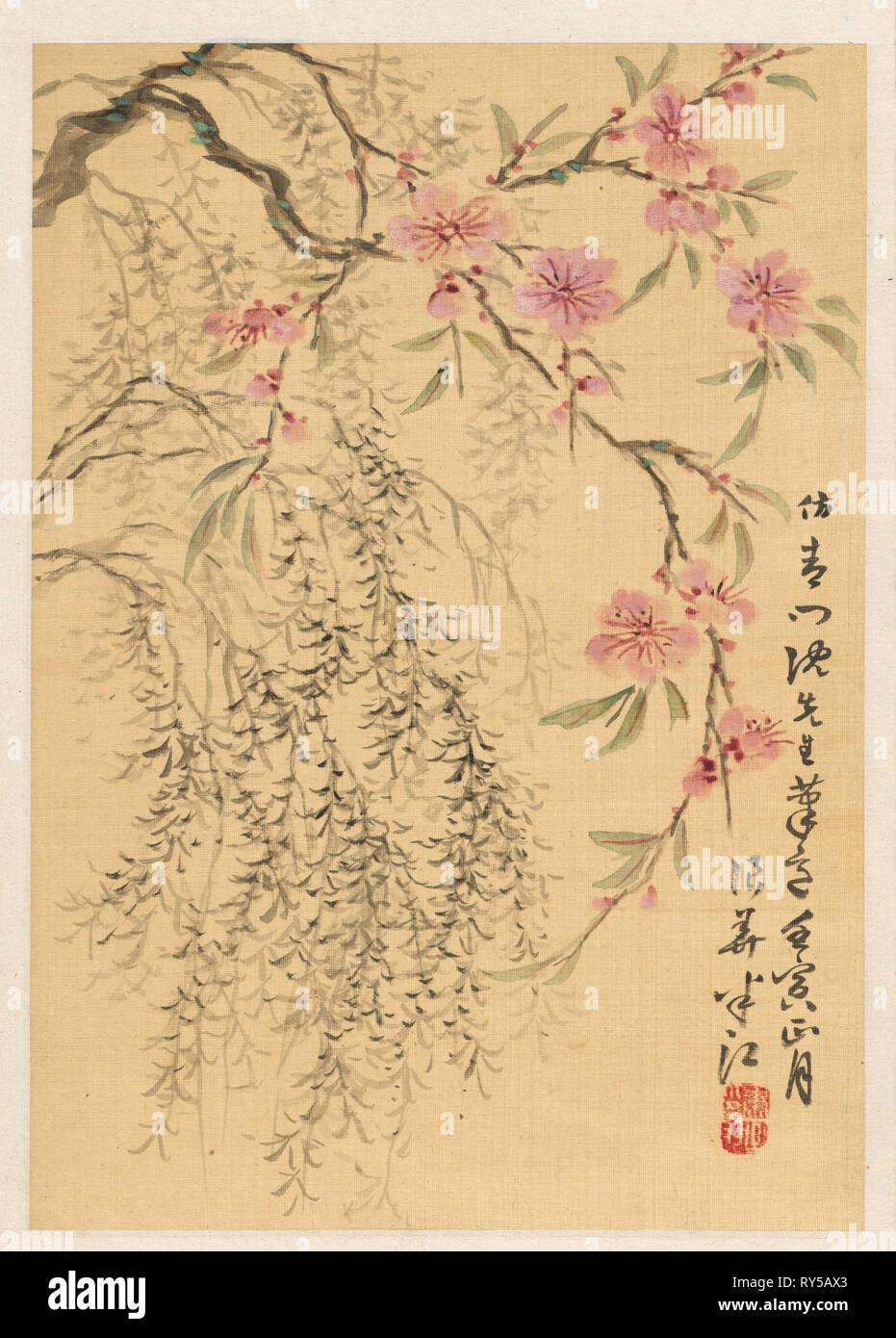 Peach Blossoms and Willows, 1842. Hanko Okada (Japanese, 1782-1845). Album leaf; ink and color on ivory silk; sheet: 26.1 x 18.4 cm (10 1/4 x 7 1/4 in Stock Photo
