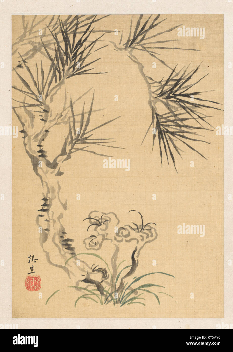 Pine Tree and Fungus, 19th century. Tsubaki Chinzan (Japanese, 1801-1854). Album leaf; ink and light color on ivory silk; sheet: 25.3 x 17.7 cm (9 15/16 x 6 15/16 in Stock Photo