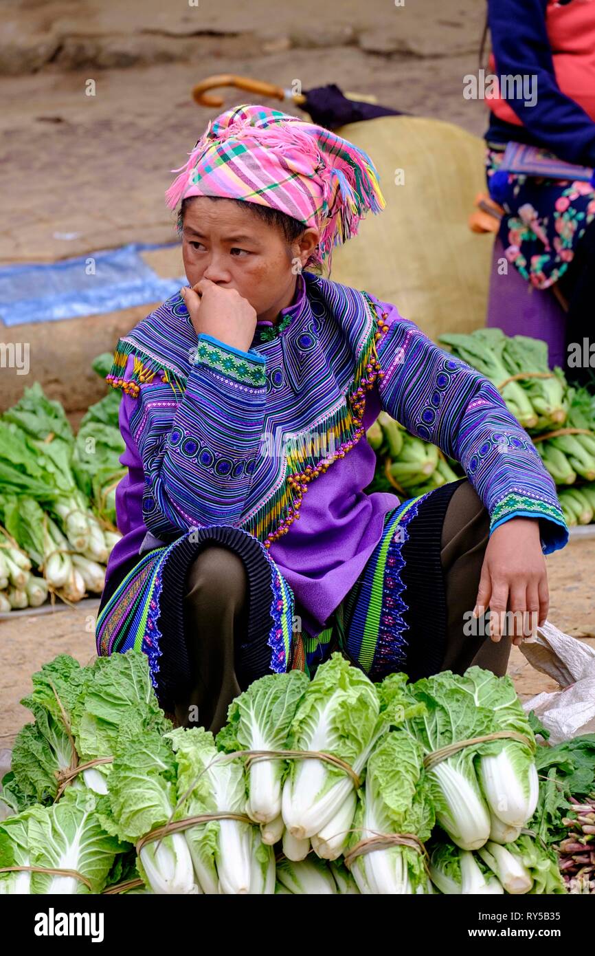 Northern vietnam ethnic tribal people hi-res stock photography and ...