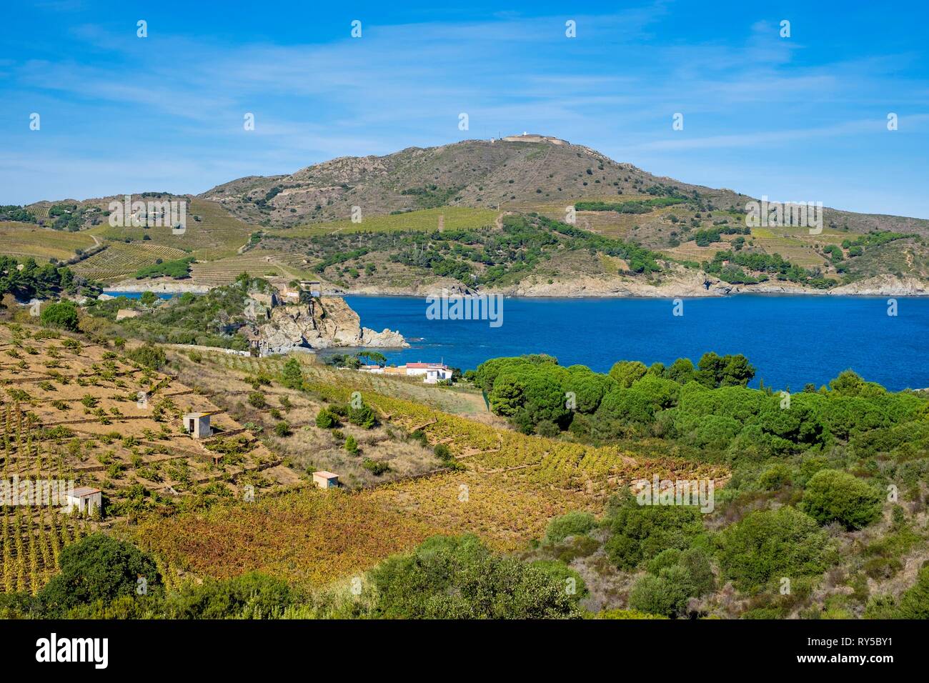 France, Pyrenees Orientales, Cote Vermeille, hiking from Port-Vendres to Banyuls on the coastal path, Anse de Paulilles Stock Photo