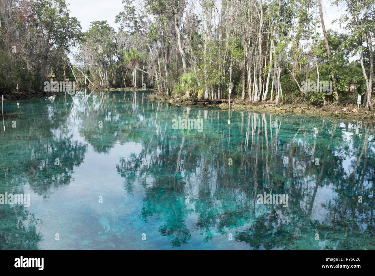 A view over the extraordinary clear water at the Three Sisters Springs