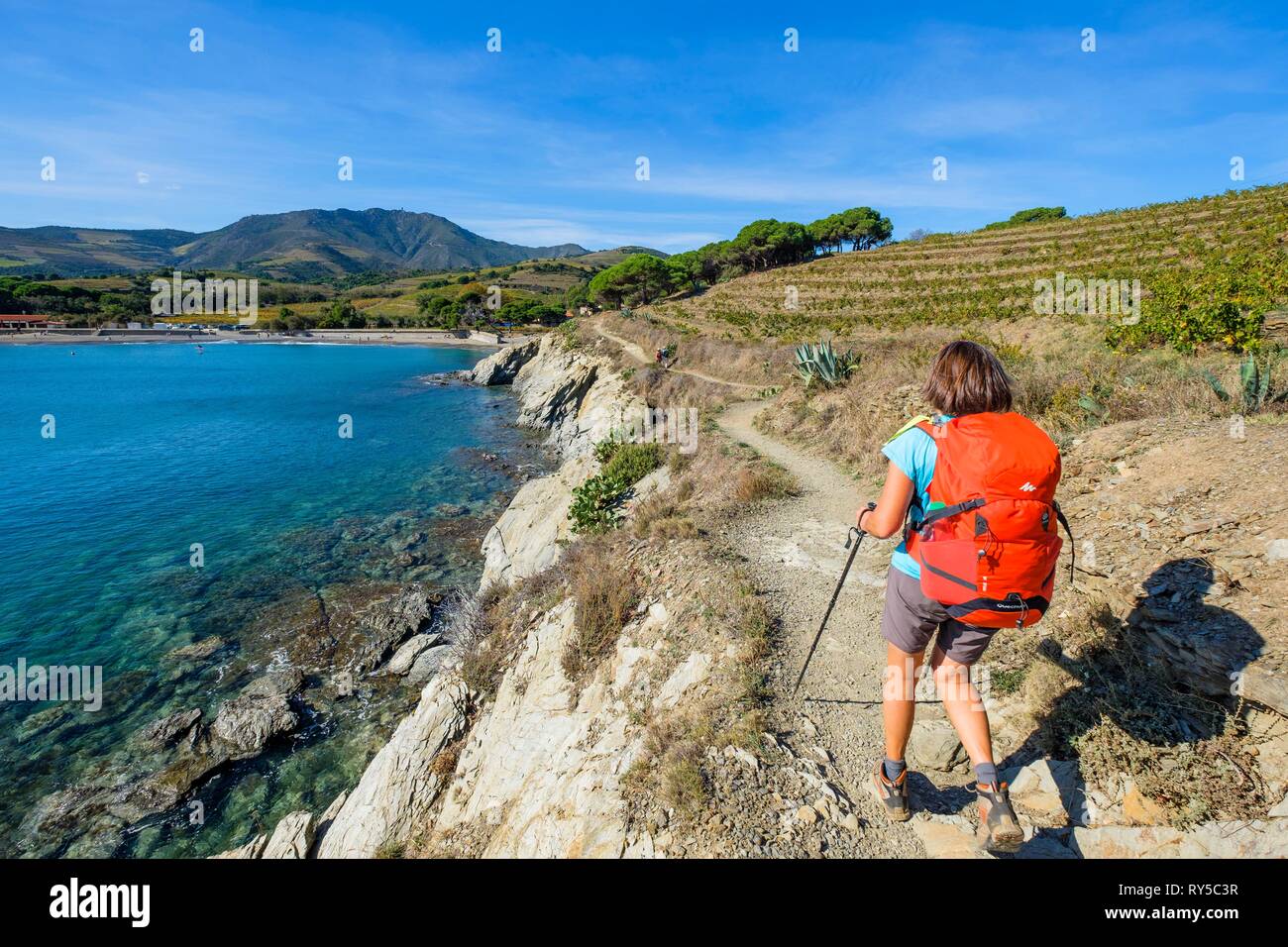 France, Pyrenees Orientales, Cote Vermeille, hiking from Port-Vendres to Banyuls on the coastal path, Anse de Paulilles in the background Stock Photo