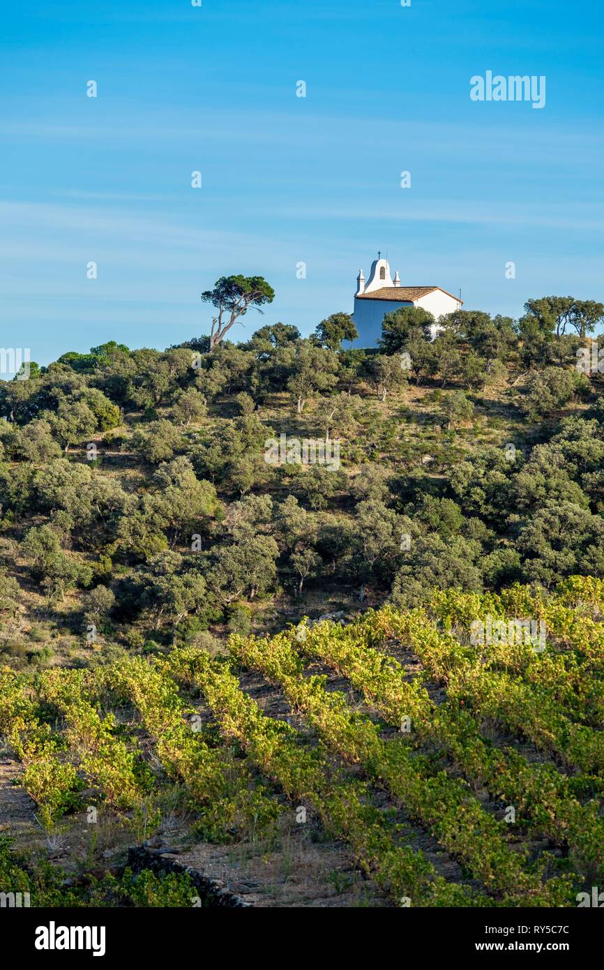 France, Pyrenees Orientales, Cote Vermeille, BanyulssurMer, Notre
