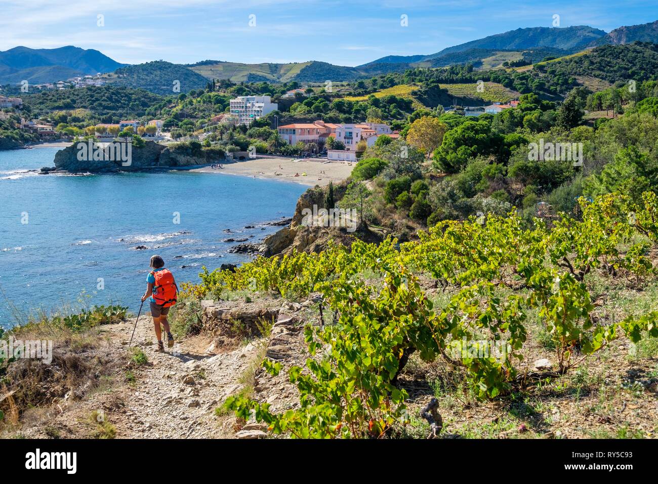 France, Pyrenees Orientales, Cote Vermeille, hiking from Port-Vendres to Banyuls on the coastal path, Elmes beach in Banyuls-sur-Mer Stock Photo