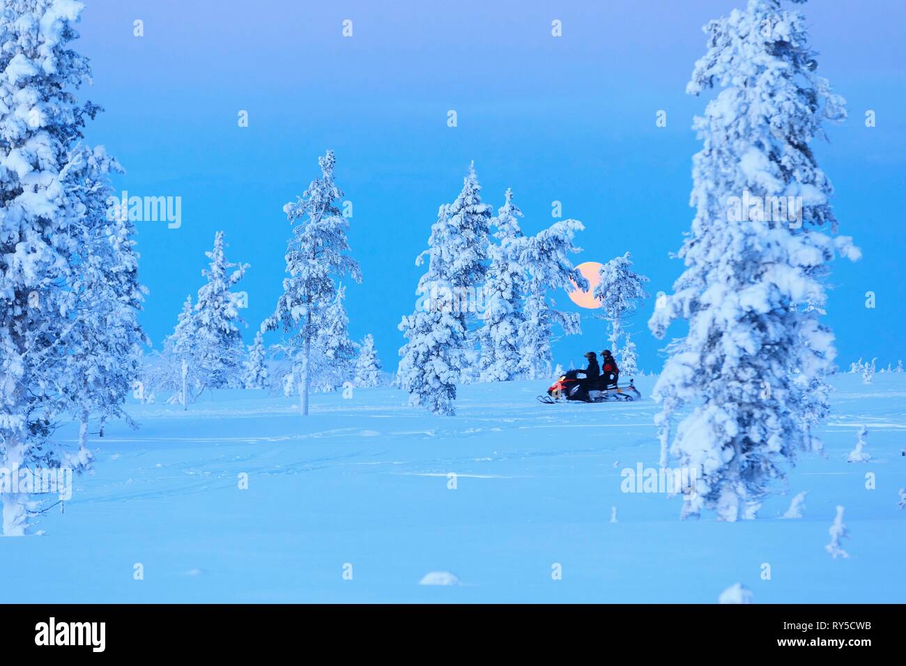 Finland, Lapland province, Inari, Saariselka, Kaunispaa Summit Stock