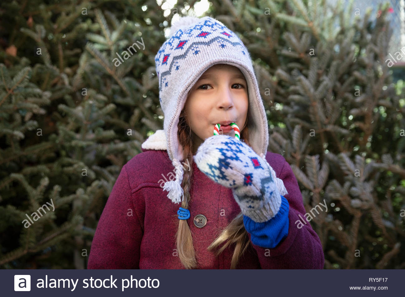 Portrait cute girl eating candy cane in front of christmas tree at christmas market Stock Photo