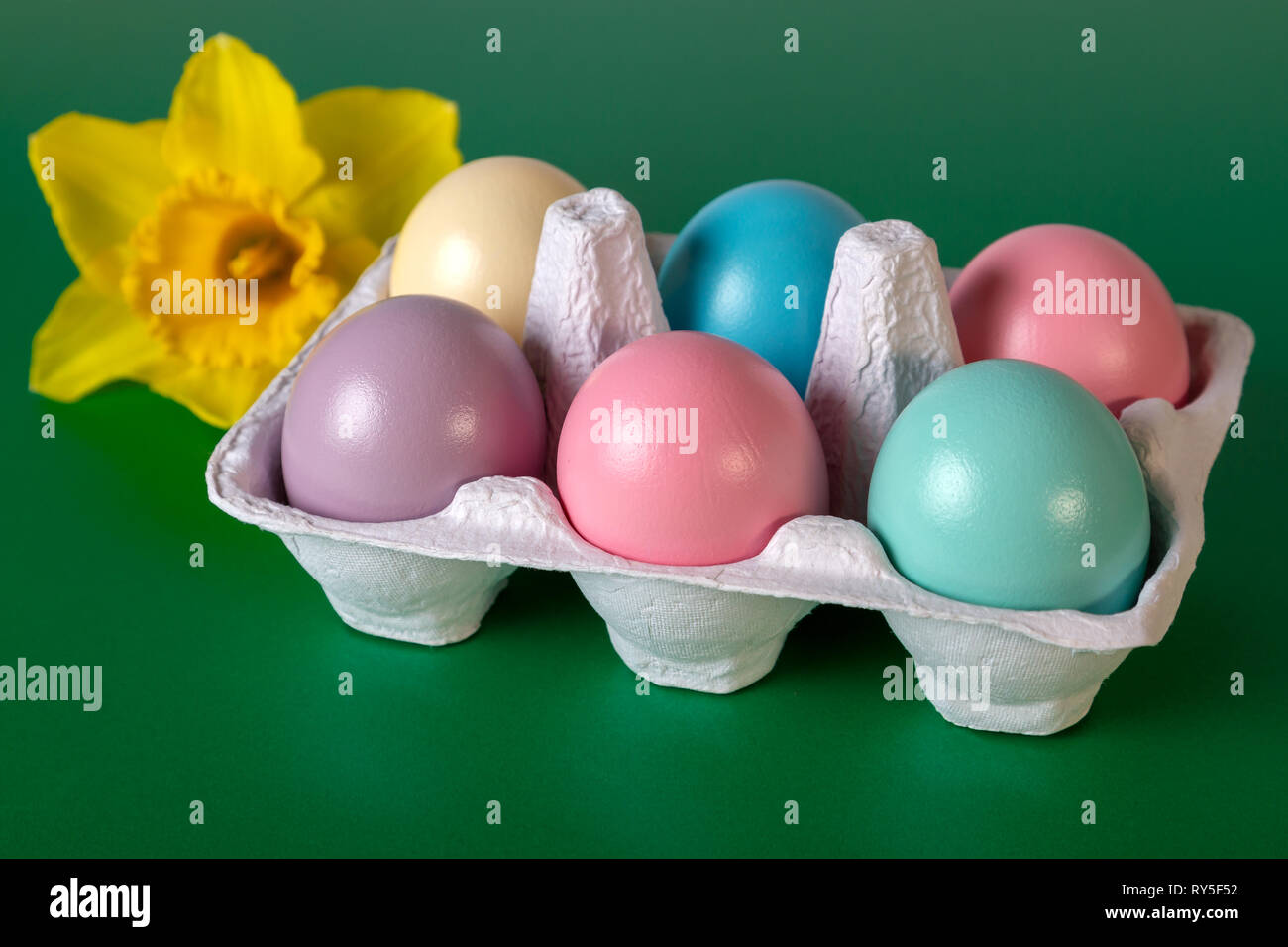 Close Painted Easter Eggs Yellow Flower On Green Selective Focus Foreground Stock Photo