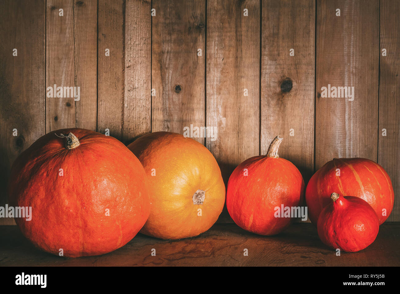 Pumpkins on grunge wooden backdrop background Stock Photo - Alamy