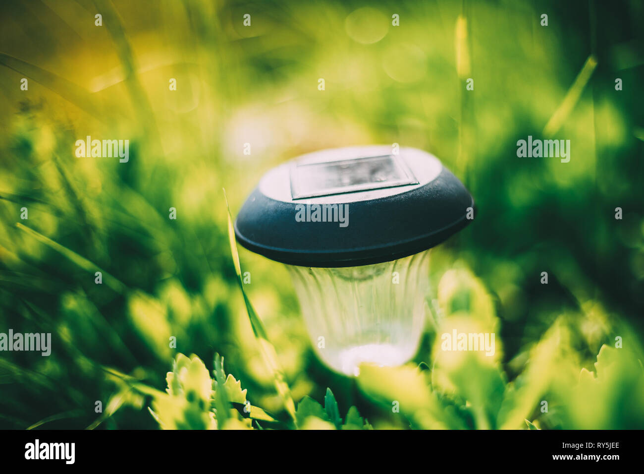 Small Solar Garden Light, Lantern In Flower Bed. Garden Design. Solar Powered Lamp Stock Photo