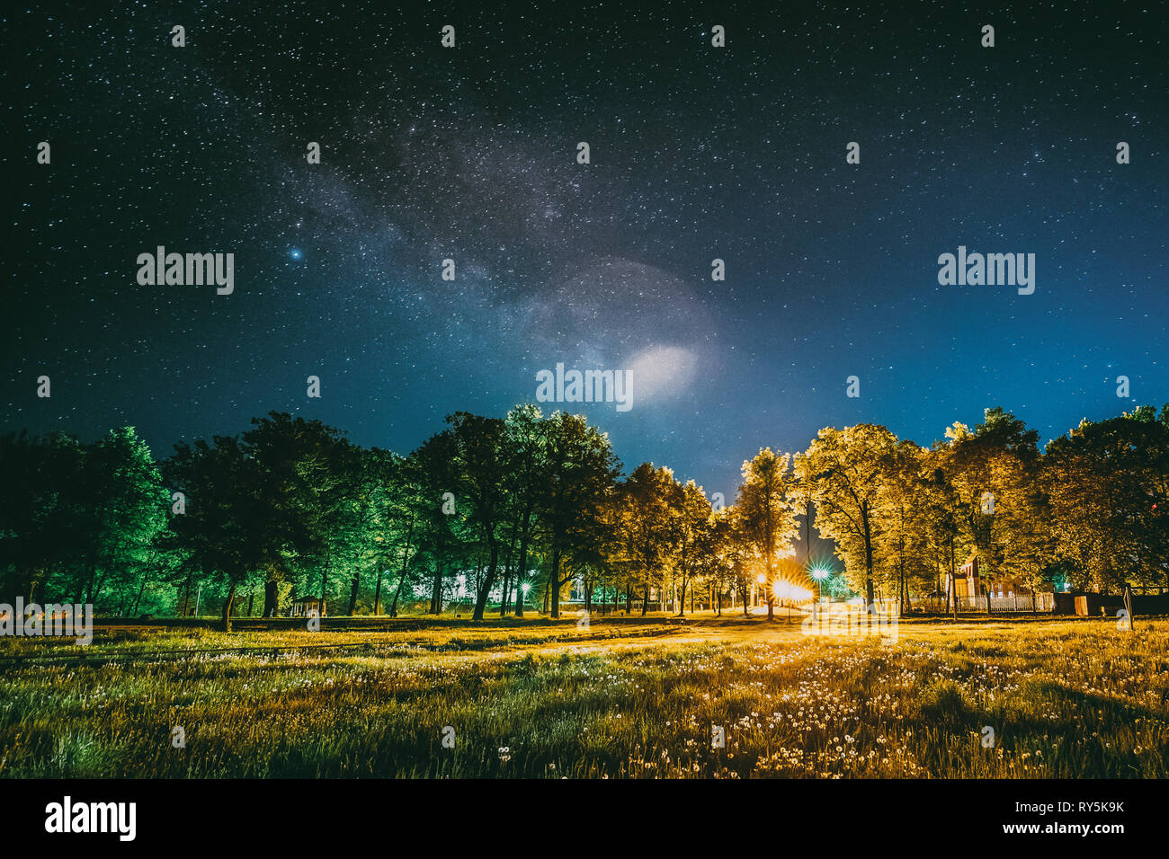 Green Trees Woods In Park Under Night Starry Sky. Night Landscape With Natural Real Glowing Milky Way Stars Over Meadow At Summer Season. View From Stock Photo