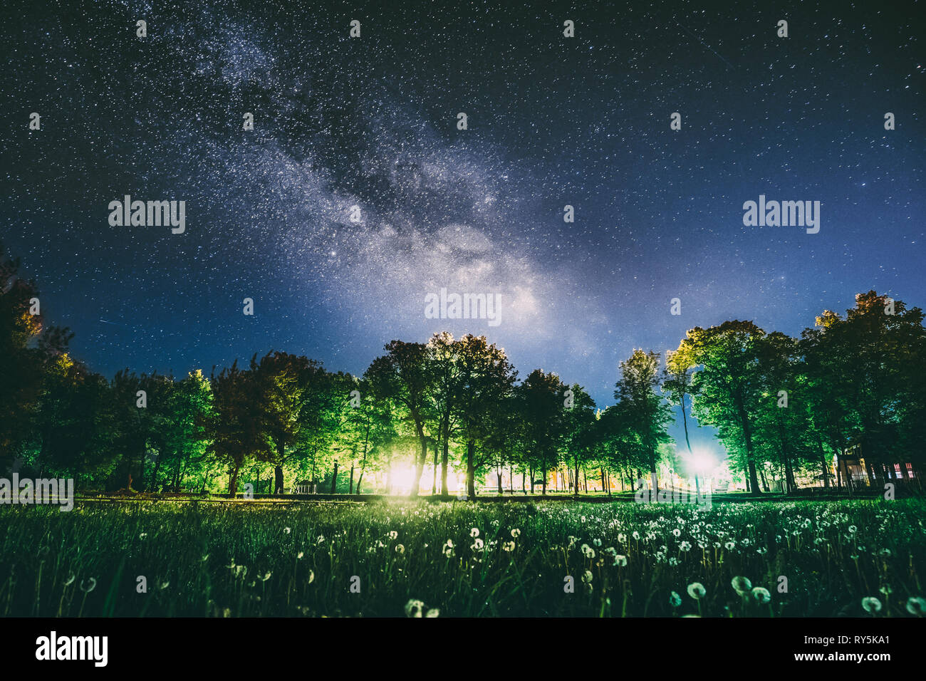 Green Trees Woods In Park Under Night Starry Sky In Violet Color. Landscape With Glowing Milky Way Stars Over Meadow At Summer Season. View From Stock Photo